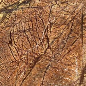 Rain Forest Brown